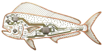 Circuit mahi-mahi