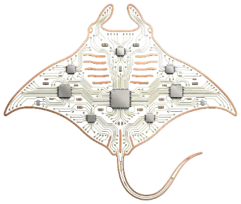 Circuit manta ray
